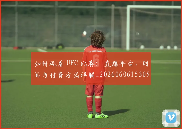 如何观看 UFC 比赛:直播平台、时间与付费方式详解_20260606153055