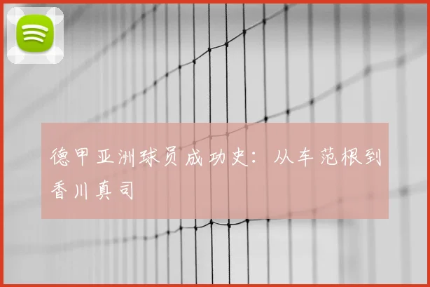 德甲亚洲球员成功史:从车范根到香川真司