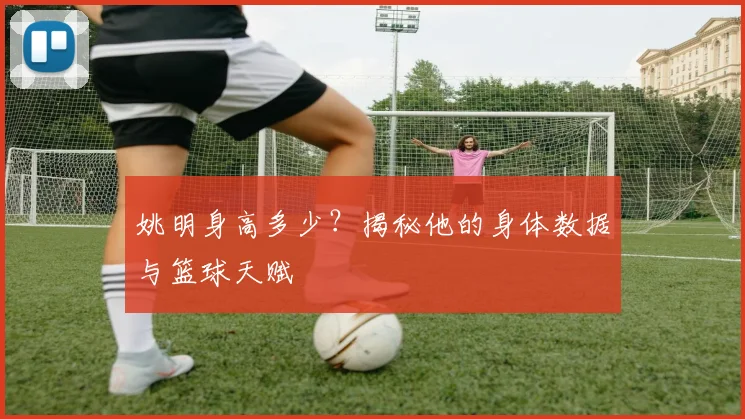 姚明身高多少？揭秘他的身体数据与篮球天赋